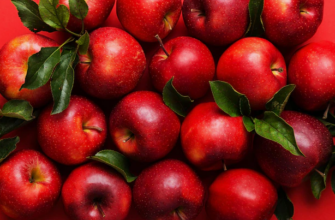 Яблоки Всегда в Сезоне: Лучшие способы использования этого универсального фрукта